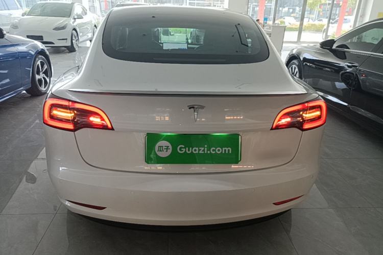 Used Tesla Model 3 2021 Revised Version II – Performance High-Performance All-Wheel-Drive Edition Rear