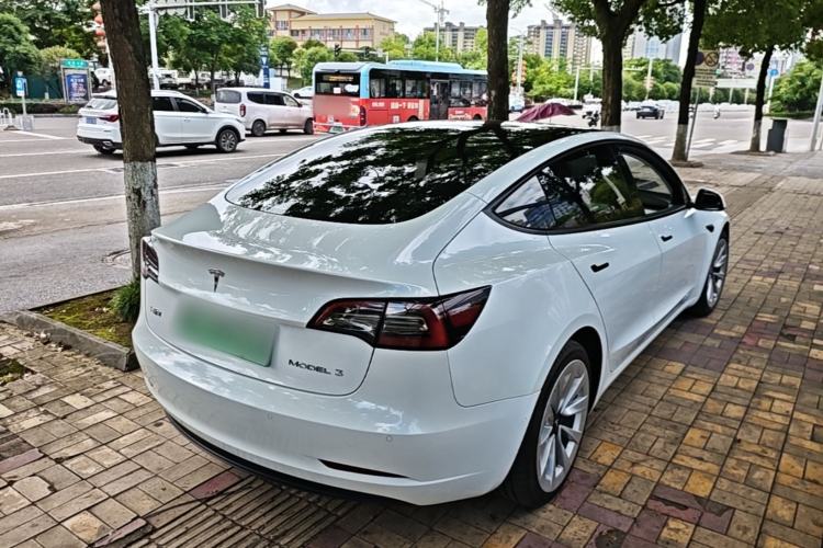 Used Tesla Model 3 2021 Standard Range Rear-Wheel Drive Upgraded Version 3D6 Rear Right 45 Deg
