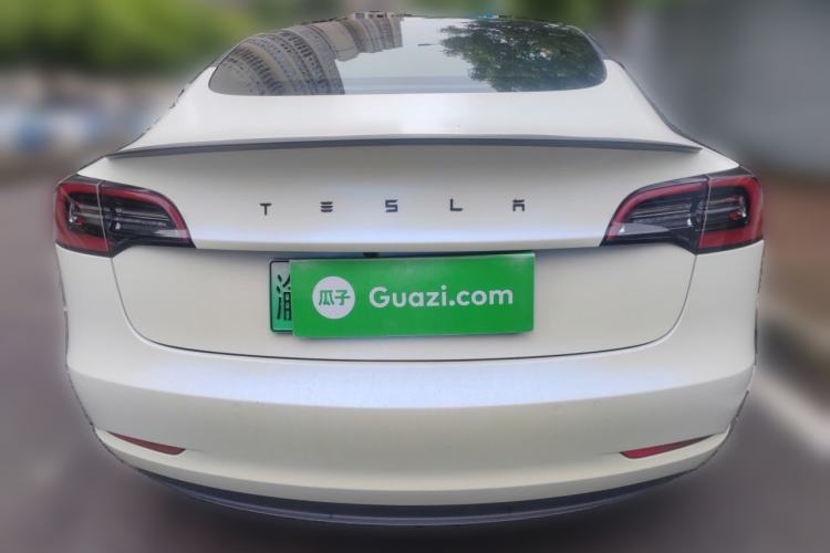 Used Tesla Model 3 2021 Standard Range Rear-Wheel Drive Upgraded Version 3D6 Rear