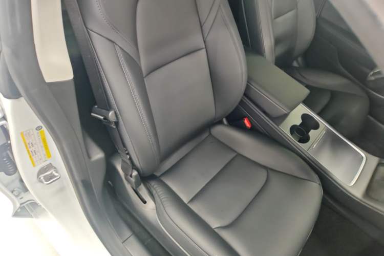 Used Tesla Model 3 2021 Revised Version Standard Range Rear-Wheel Drive Upgraded Edition 3D1 Right Front Seat