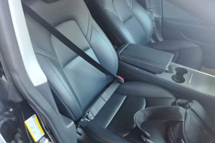 Used Tesla Model 3 2021 Revised Version Standard Range Rear-Wheel Drive Upgraded Edition 3D1 Right Front Seat