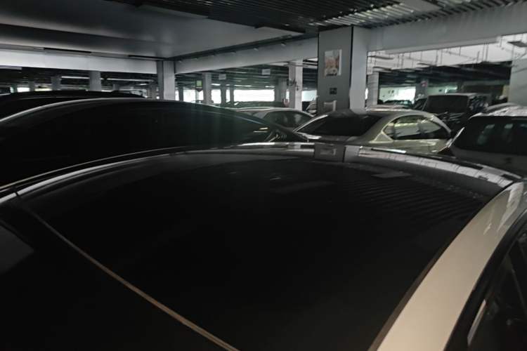 Used Tesla Model 3 2021 Standard Range Rear-Wheel Drive Upgraded Version 3D6 Roof
