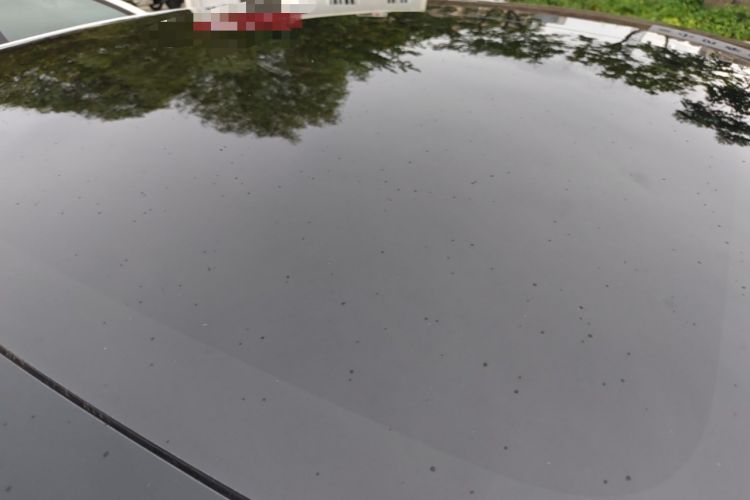 Used Tesla Model 3 2021 Revised Version Standard Range Rear-Wheel Drive Upgraded Edition 3D1 Roof