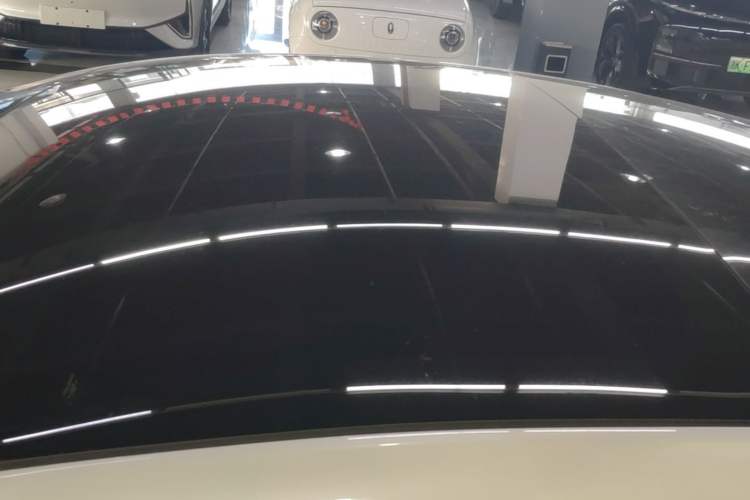 Used Tesla Model 3 2021 Standard Range Rear-Drive Upgraded Version Roof