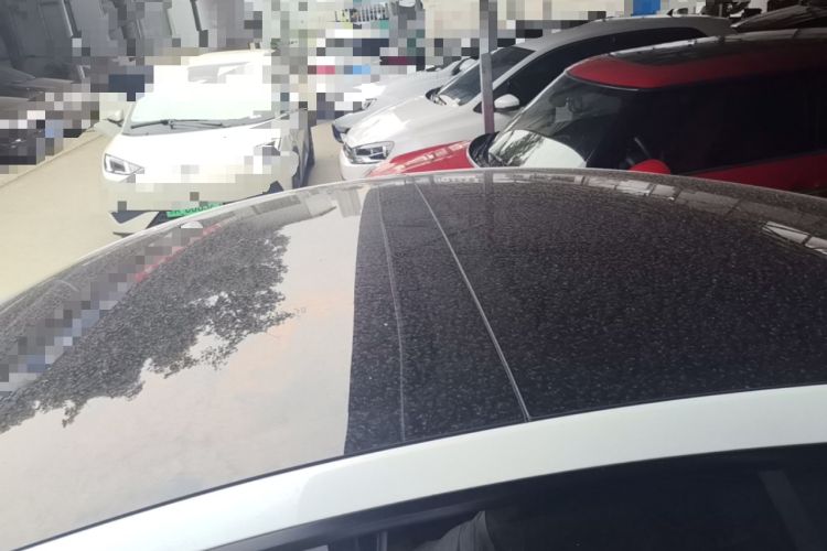 Used Tesla Model 3 2021 Standard Range Rear-Drive Upgraded Version Roof