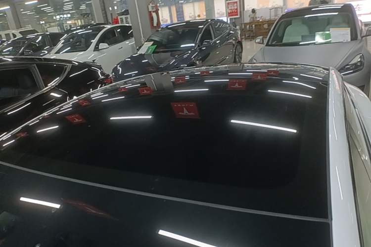 Used Tesla Model 3 2021 Standard Range Rear-Drive Upgraded Version Roof