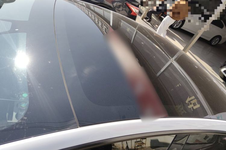 Used Tesla Model 3 2021 Standard Range Rear-Drive Upgraded Version Roof