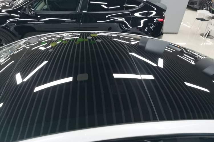 Used Tesla Model 3 2021 Performance High-Performance All-Wheel-Drive Version Roof
