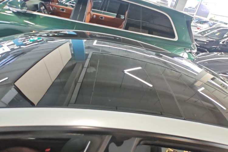 Used Tesla Model 3 2021 Standard Range Rear-Wheel Drive Upgraded Version 3D6 Roof