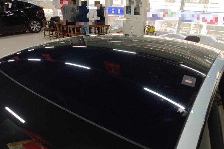 Used Tesla Model 3 2021 Performance High-Performance All-Wheel-Drive Version 3D6 Roof