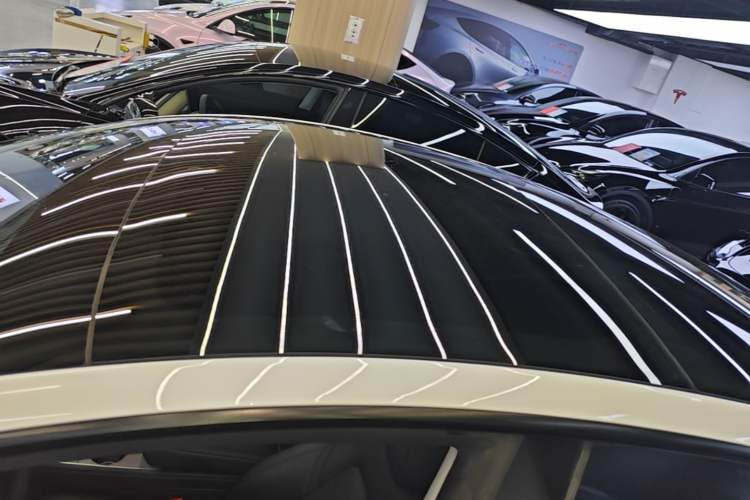 Used Tesla Model 3 2021 Revised Version Standard Range Rear-Wheel Drive Upgraded Edition 3D1 Roof