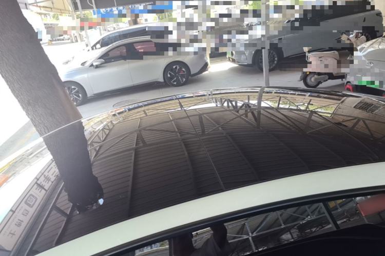 Used Tesla Model 3 2021 Revised Version II – Performance High-Performance All-Wheel-Drive Edition Roof