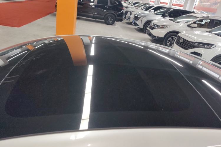 Used Tesla Model 3 2021 Performance High-Performance All-Wheel-Drive Version Roof