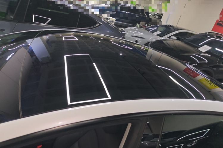 Used Tesla Model 3 2021 Performance High-Performance All-Wheel-Drive Version 3D6 Roof