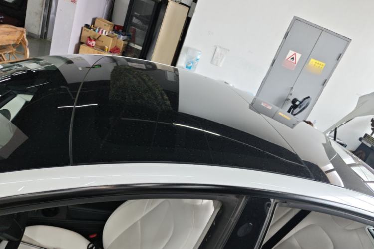 Used Tesla Model 3 2021 Standard Range Rear-Wheel Drive Upgraded Version 3D6 Roof