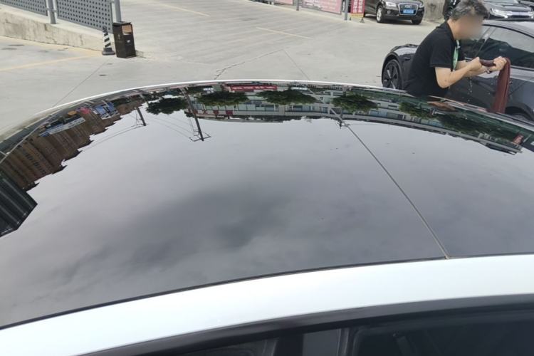 Used Tesla Model 3 2021 Performance High-Performance All-Wheel-Drive Version 3D6 Roof