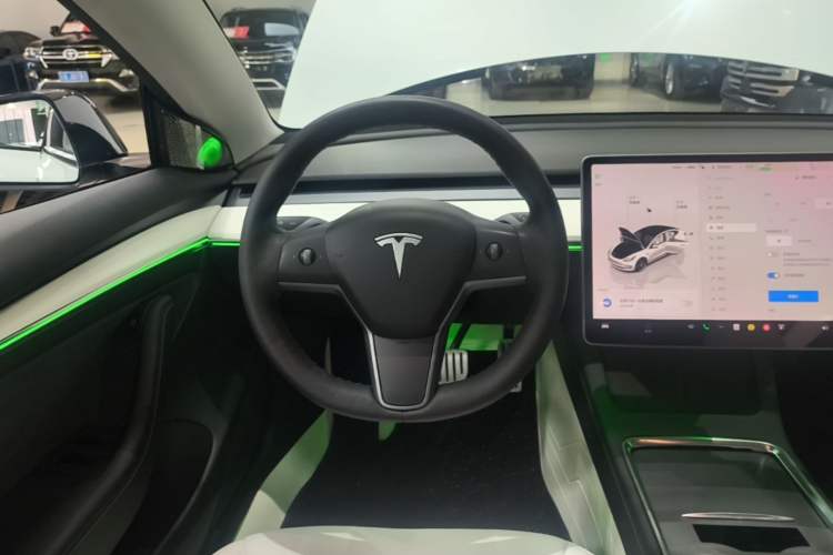 Used Tesla Model 3 2021 Revised Version II – Performance High-Performance All-Wheel-Drive Edition Steering Wheel