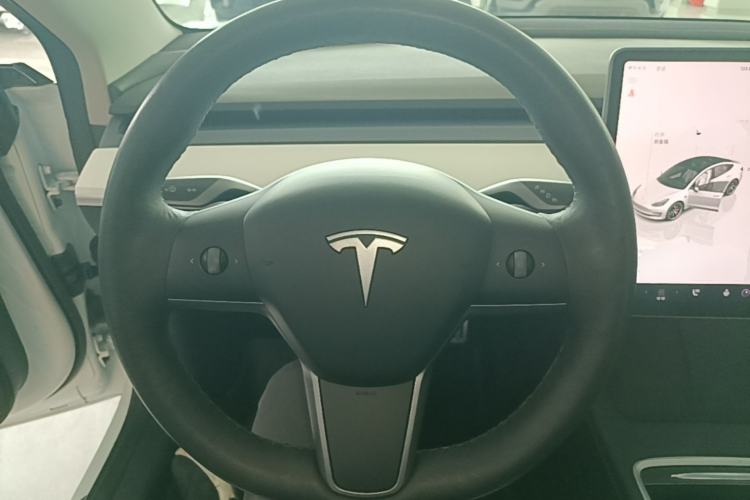 Used Tesla Model 3 2021 Revised Version II – Performance High-Performance All-Wheel-Drive Edition Steering Wheel