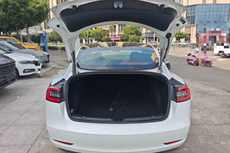 Used Tesla Model 3 2021 Standard Range Rear-Wheel Drive Upgraded Version 3D6 Trunk