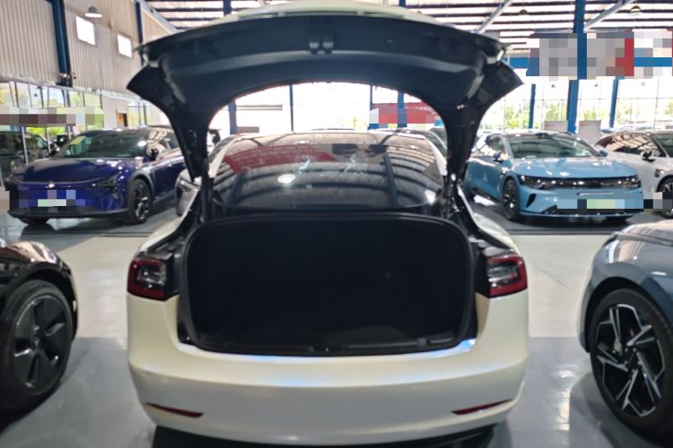 Used Tesla Model 3 2021 Standard Range Rear-Wheel Drive Upgraded Version 3D6 Trunk