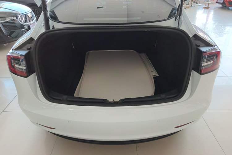 Used Tesla Model 3 2021 Standard Range Rear-Wheel Drive Upgraded Version 3D6 Trunk
