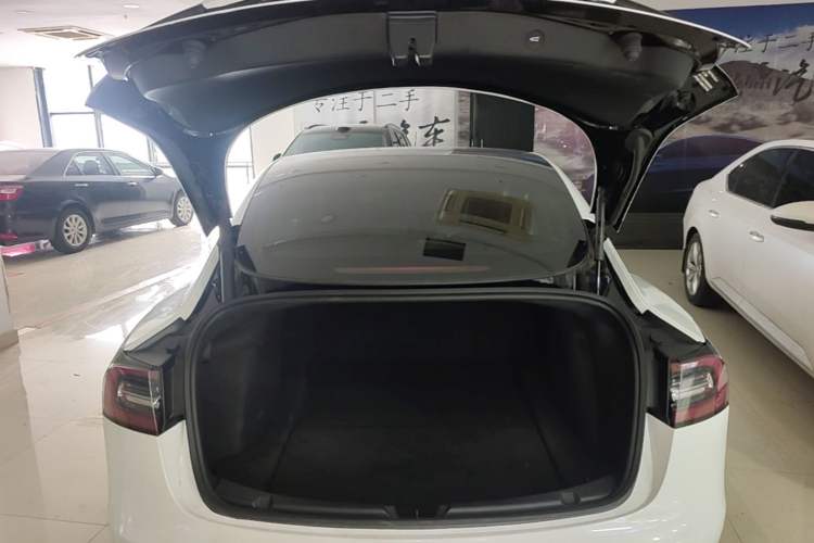 Used Tesla Model 3 2021 Standard Range Rear-Wheel Drive Upgraded Version 3D6 Trunk