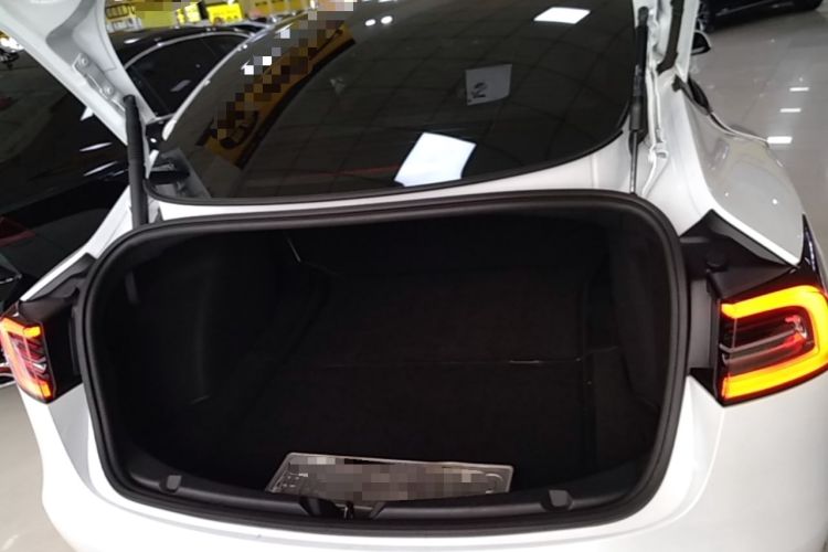Used Tesla Model 3 2021 Standard Range Rear-Wheel Drive Upgraded Version 3D6 Trunk