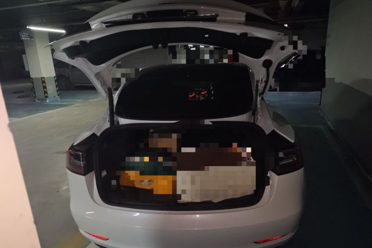 Used Tesla Model 3 2021 Standard Range Rear-Drive Upgraded Version Trunk