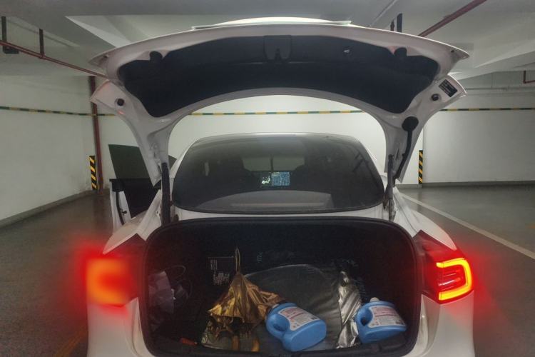 Used Tesla Model 3 2021 Standard Range Rear-Wheel Drive Upgraded Version 3D6 Trunk