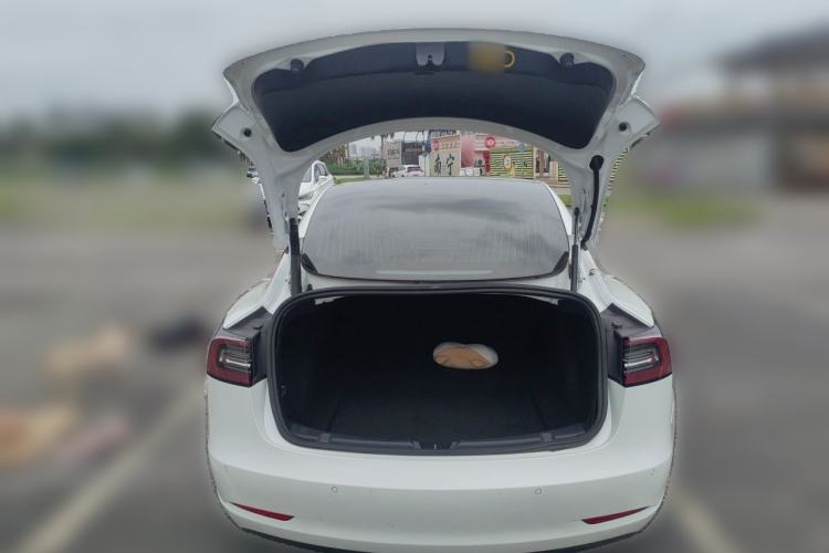 Used Tesla Model 3 2021 Standard Range Rear-Wheel Drive Upgraded Version 3D6 Trunk