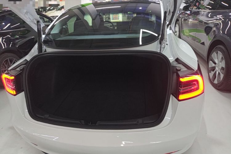 Used Tesla Model 3 2021 Performance High-Performance All-Wheel-Drive Version 3D6 Trunk