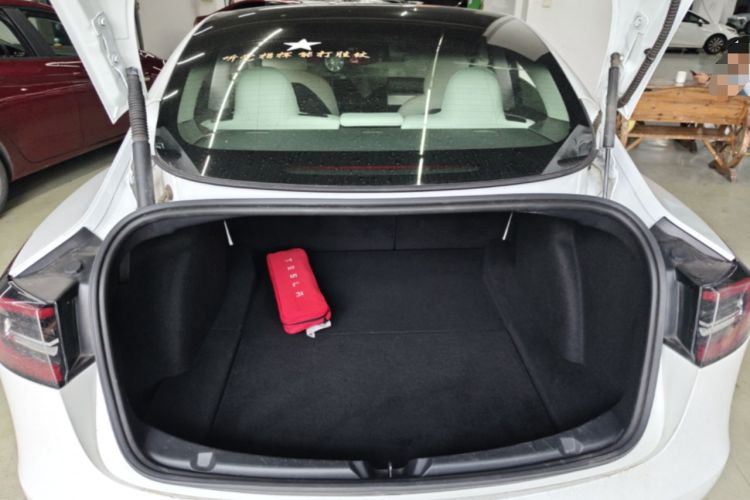 Used Tesla Model 3 2021 Standard Range Rear-Wheel Drive Upgraded Version 3D6 Trunk