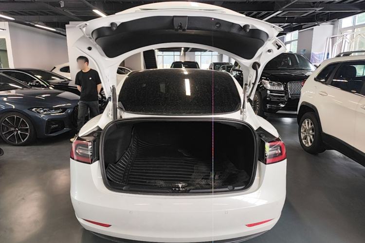 Used Tesla Model 3 2021 Standard Range Rear-Drive Upgraded Version Trunk