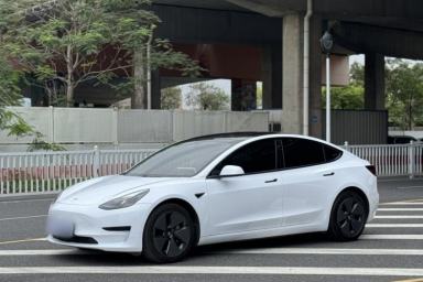 Used Tesla Model 3 2021 Standard Range Rear-Drive Upgraded Version