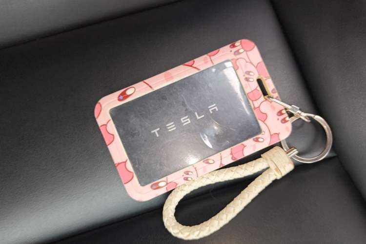 Used Tesla Model 3 2021 Revised Version Standard Range Rear-Wheel Drive Upgraded Edition 3D1 Vehicle Key