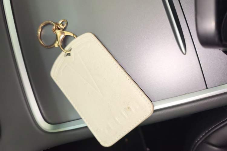 Used Tesla Model 3 2021 Performance High-Performance All-Wheel-Drive Version 3D6 Vehicle Key