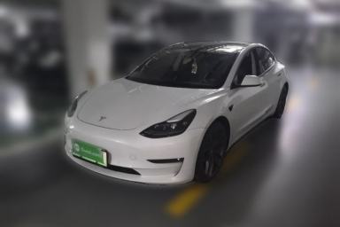Used Tesla Model 3 2021 Performance High-Performance All-Wheel-Drive Version