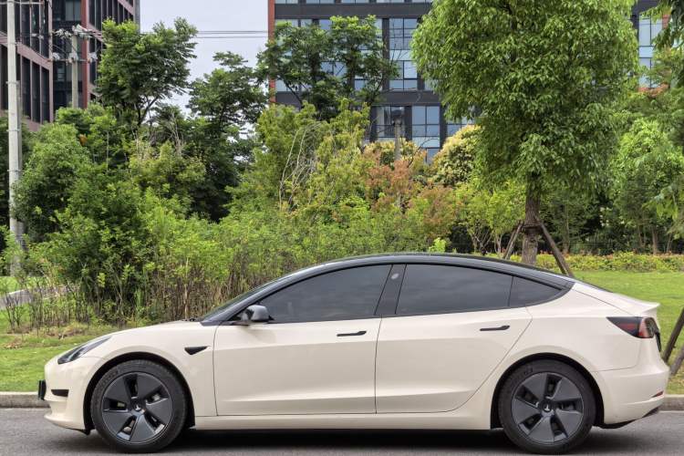Used Tesla Model 3 2021 Standard Range Rear-Drive Upgraded Version Exterior 3
