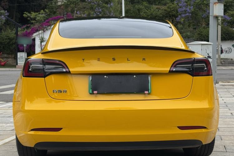 Used Tesla Model 3 2021 Standard Range Rear-Wheel Drive Upgraded Version 3D6 Exterior 7