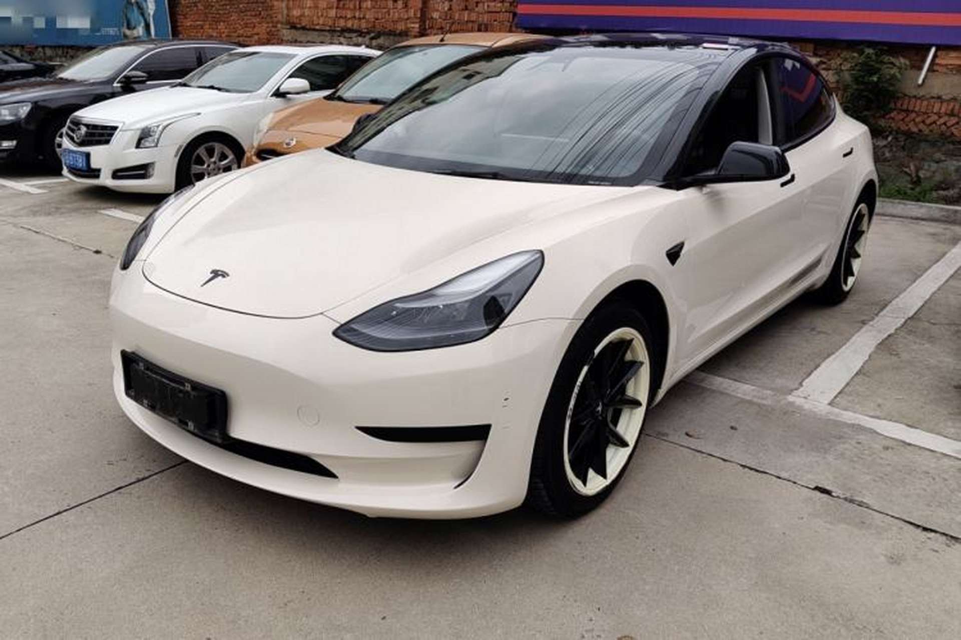 Used Tesla Model 3 2021 Standard Range Rear-Wheel Drive Upgraded Version 3D6 Front Left 45 Deg