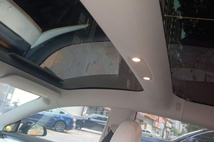 Used Tesla Model 3 2021 Performance High-Performance All-Wheel-Drive Version Headliner
