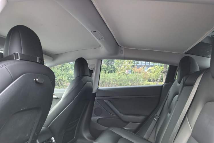 Used Tesla Model 3 2021 Standard Range Rear-Drive Upgraded Version Headliner