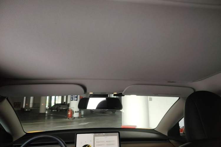 Used Tesla Model 3 2021 Standard Range Rear-Drive Upgraded Version Headliner