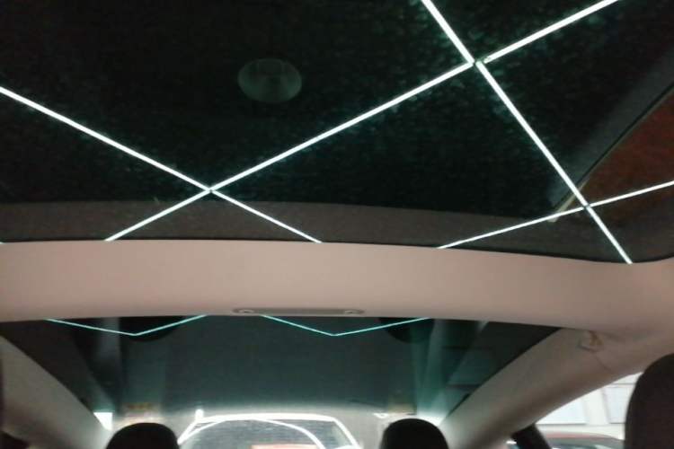 Used Tesla Model 3 2021 Performance High-Performance All-Wheel-Drive Version Headliner