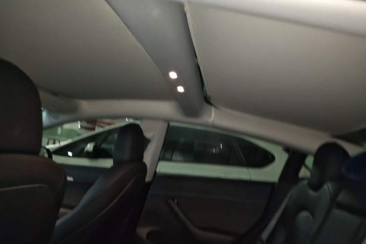 Used Tesla Model 3 2021 Revised Version Standard Range Rear-Wheel Drive Upgraded Edition 3D1 Headliner