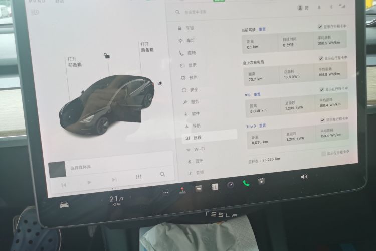 Used Tesla Model 3 2021 Revised Version Standard Range Rear-Wheel Drive Upgraded Edition 3D1 Odometer Close Up