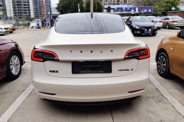 Used Tesla Model 3 2021 Standard Range Rear-Wheel Drive Upgraded Version 3D6 Rear