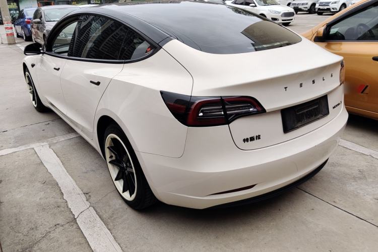 Used Tesla Model 3 2021 Standard Range Rear-Wheel Drive Upgraded Version 3D6 Rear Left 45 Deg
