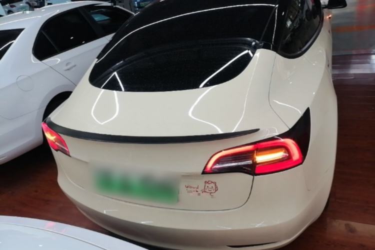Used Tesla Model 3 2021 Performance High-Performance All-Wheel-Drive Version Rear