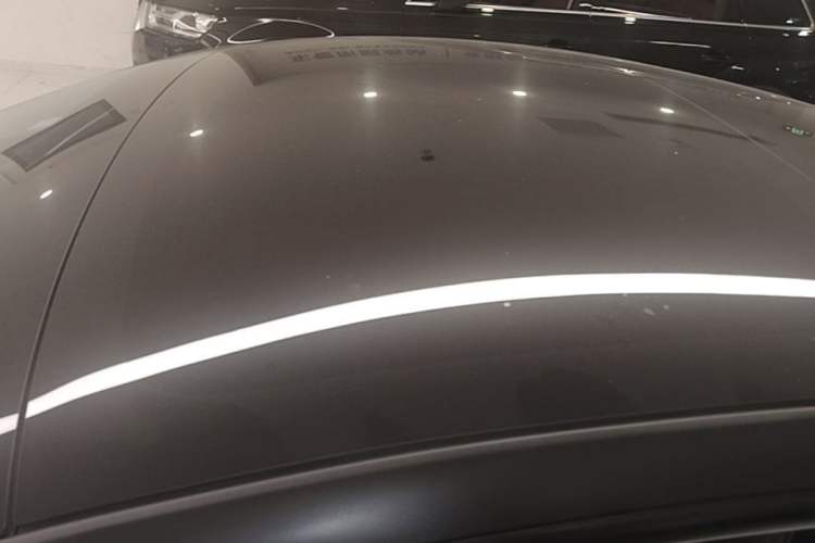 Used Tesla Model 3 2021 Standard Range Rear-Wheel Drive Upgraded Version 3D6 Roof